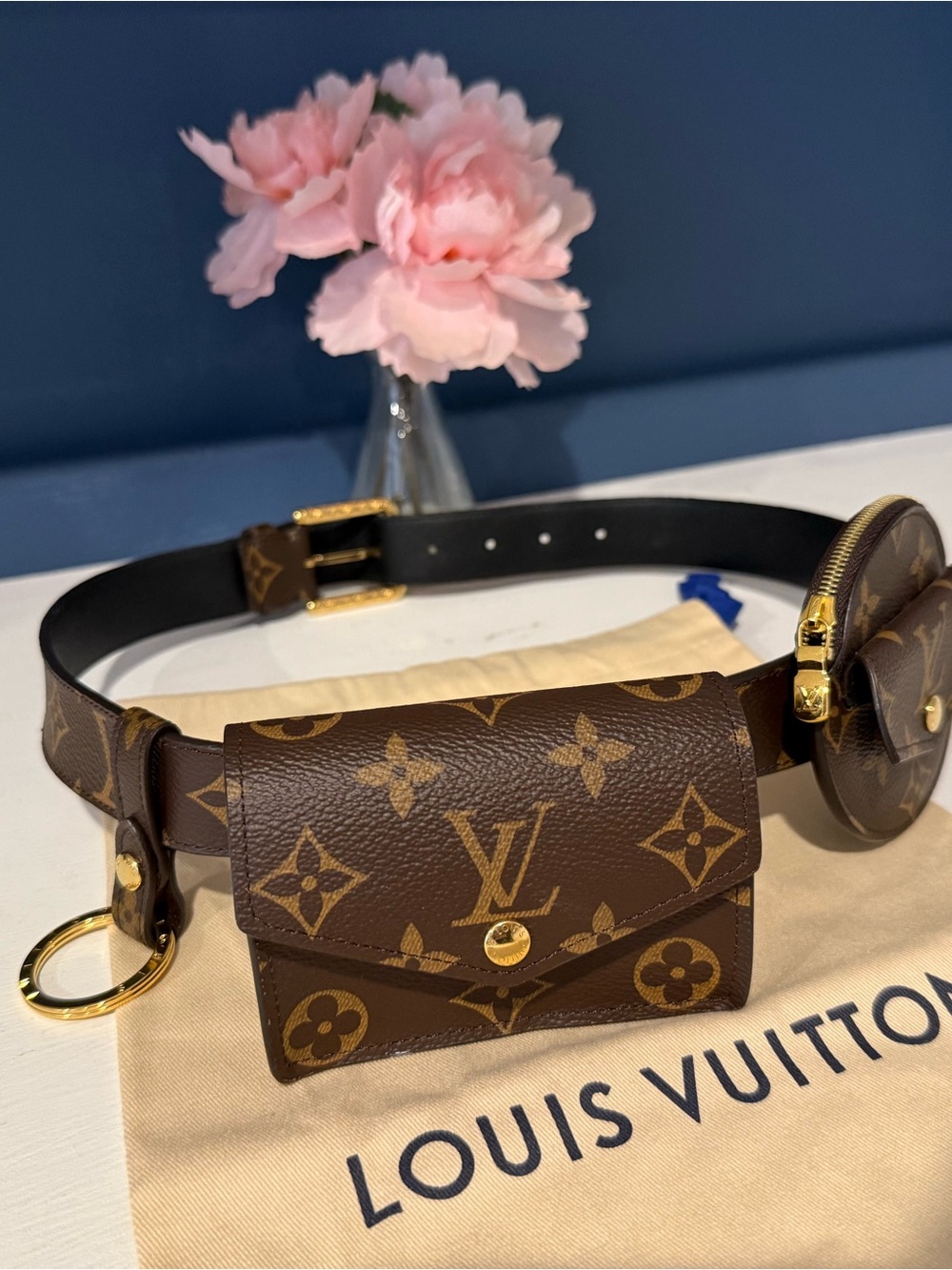Louis Vuitton monogram daily multi pocket belt